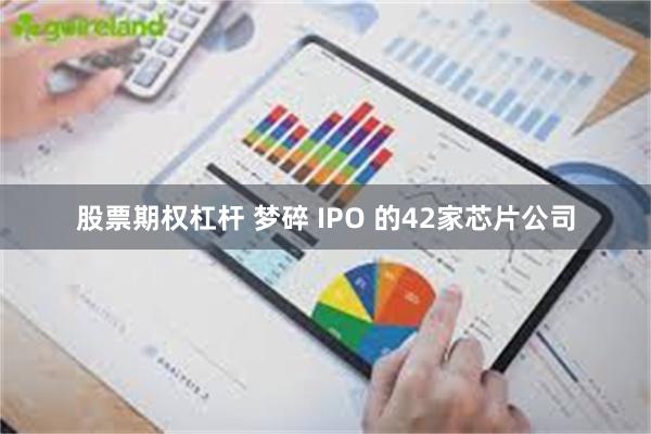 股票期权杠杆 梦碎 IPO 的42家芯片公司