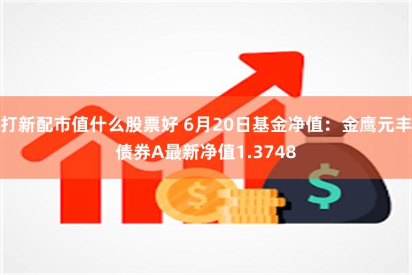 打新配市值什么股票好 6月20日基金净值：金鹰元丰债券A最新净值1.3748