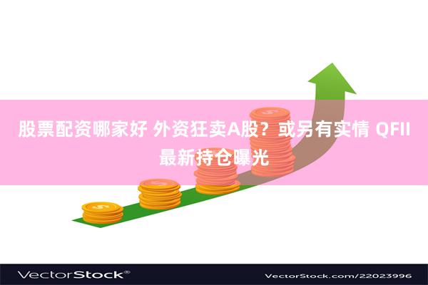 股票配资哪家好 外资狂卖A股？或另有实情 QFII最新持仓曝光