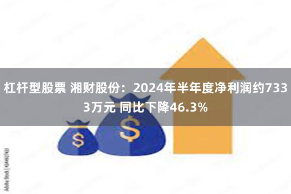 杠杆型股票 湘财股份：2024年半年度净利润约7333万元 同比下降46.3%