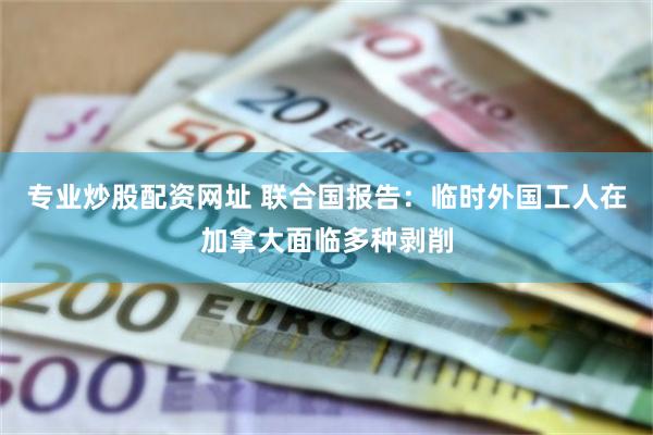 专业炒股配资网址 联合国报告：临时外国工人在加拿大面临多种剥削