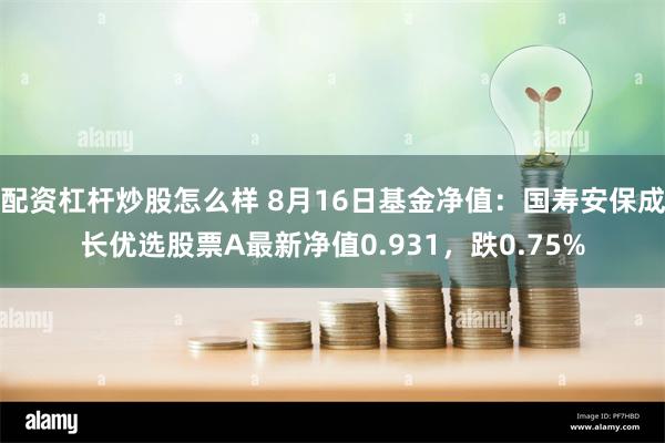 配资杠杆炒股怎么样 8月16日基金净值：国寿安保成长优选股票A最新净值0.931，跌0.75%