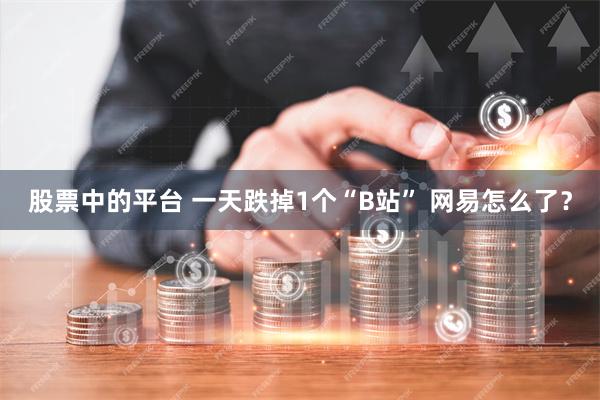 股票中的平台 一天跌掉1个“B站” 网易怎么了？