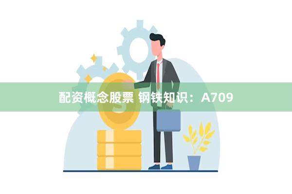 配资概念股票 钢铁知识：A709