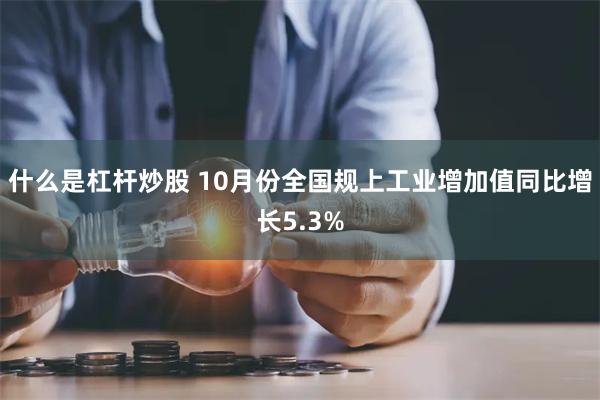 什么是杠杆炒股 10月份全国规上工业增加值同比增长5.3%