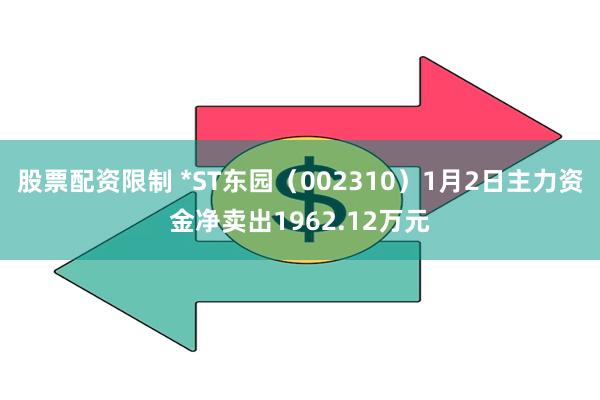 股票配资限制 *ST东园（002310）1月2日主力资金净卖出1962.12万元