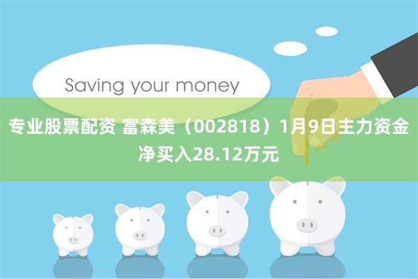 专业股票配资 富森美（002818）1月9日主力资金净买入28.12万元