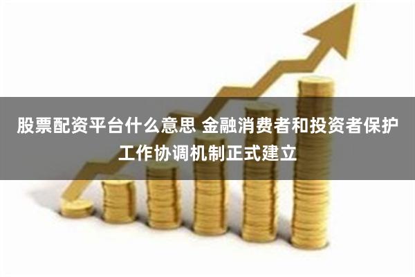 股票配资平台什么意思 金融消费者和投资者保护工作协调机制正式建立