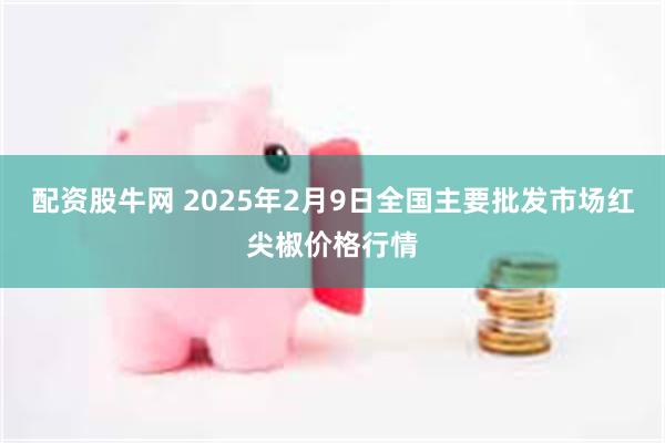 配资股牛网 2025年2月9日全国主要批发市场红尖椒价格行情